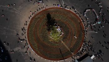 Glorieta-desaparecidos-ahuehuete-cdmx