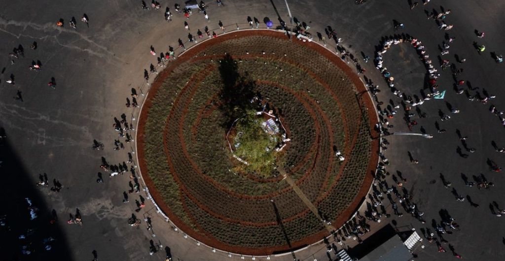 Glorieta-desaparecidos-ahuehuete-cdmx