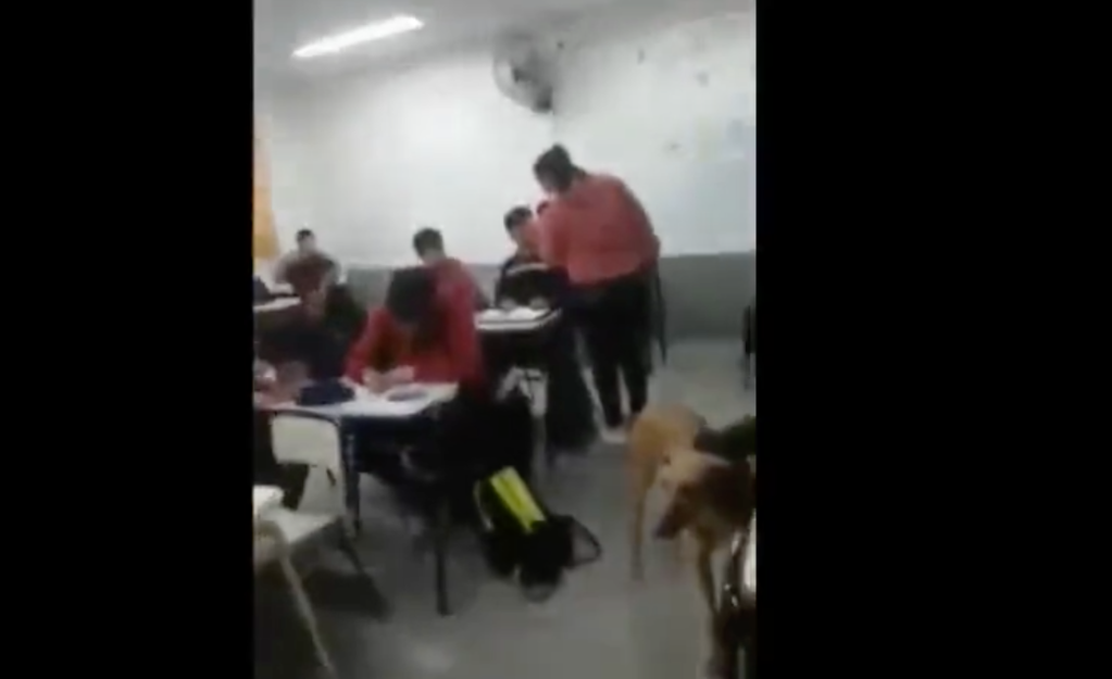 Captan a una mamá cacheteando a un alumno en plena clase 