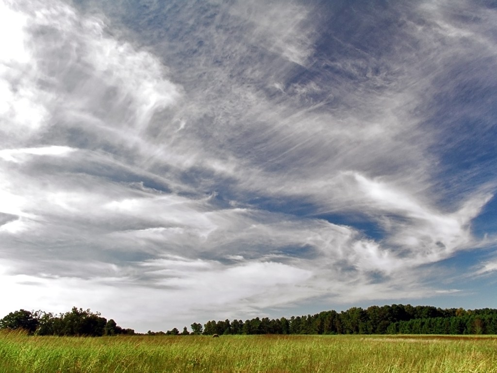 nubes-cirrus-cielo-halo-solar-sol