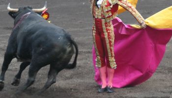 sheinbaum-consulta-prohibir-corridas-toros-cdmx