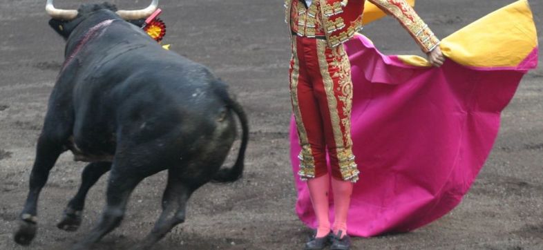 sheinbaum-consulta-prohibir-corridas-toros-cdmx