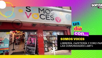 somos-voces-lbgt-cdmx