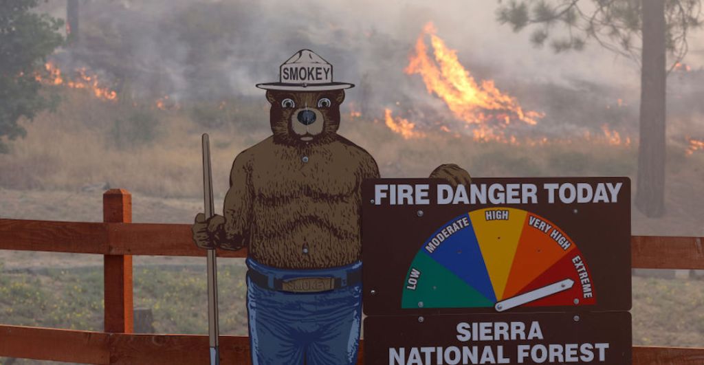 Yosemite-arboles-incendios