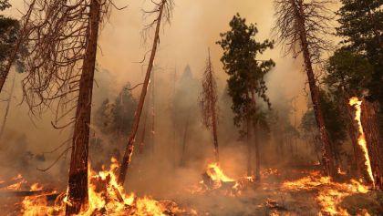 Yosemite-incendios-forestales