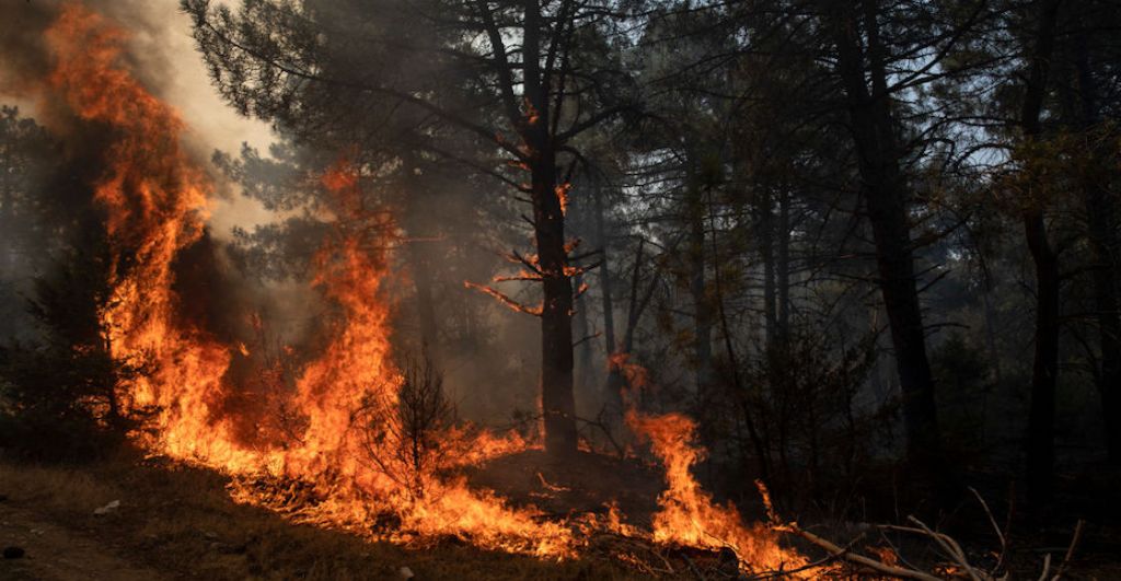  incendios-cambio-climatico