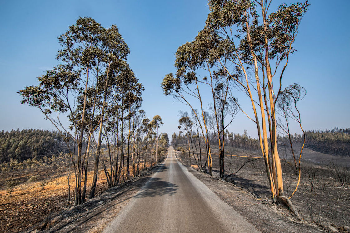 incendios-ola-calor-portugal