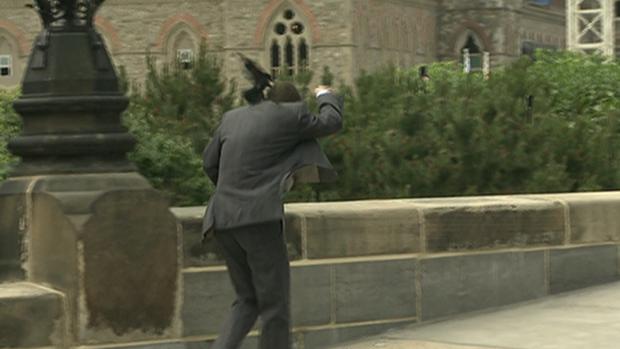 pajaro-agresivo-canada-parlamento