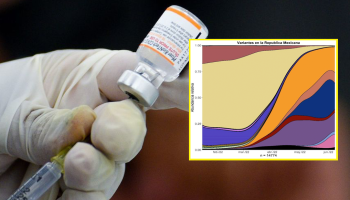 variante-ba.5-ba-5-covid-que-es-contagiosa-quinta-ola-mexico