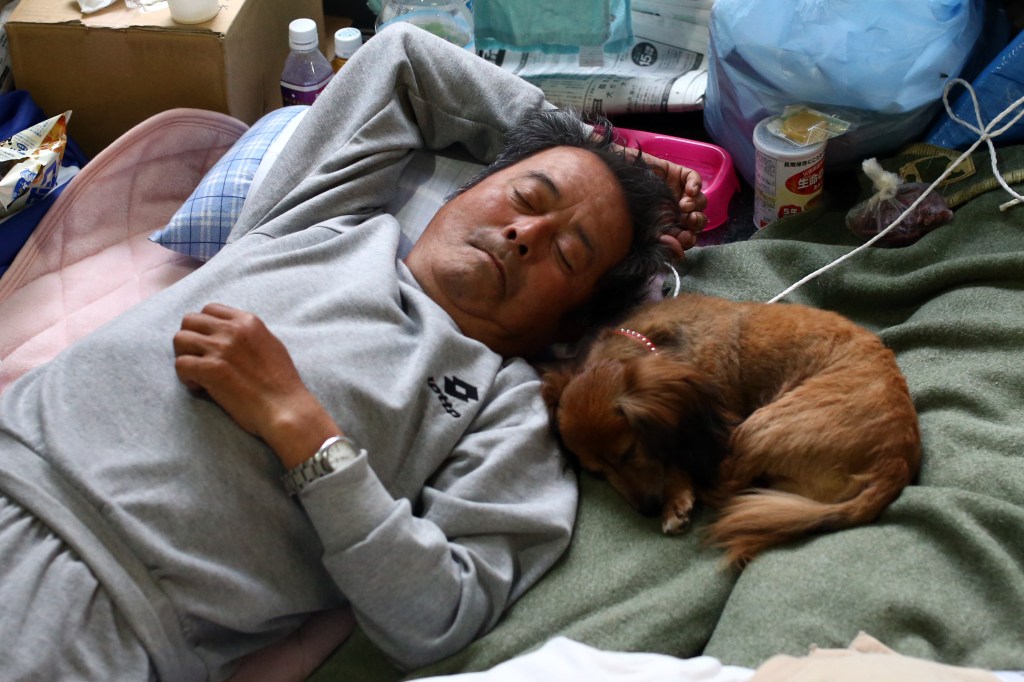 ¡Rifados! Este albergue deja que las personas en situación de calle se refugien con sus mascotas