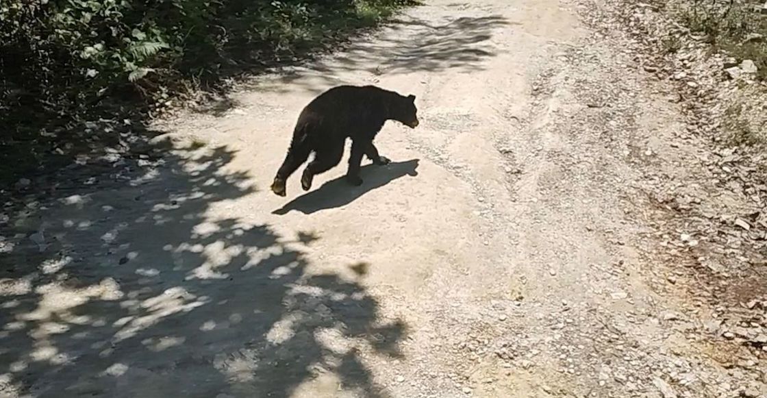 osita-profepa-coahuila-denuncia