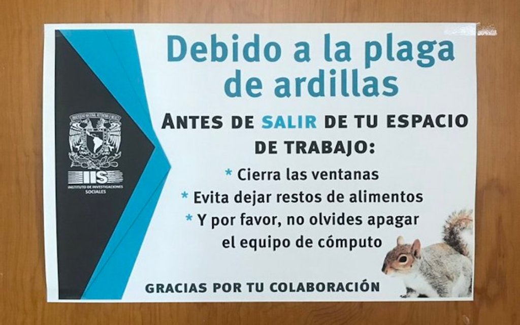 plaga-ardillas-unam-twitter