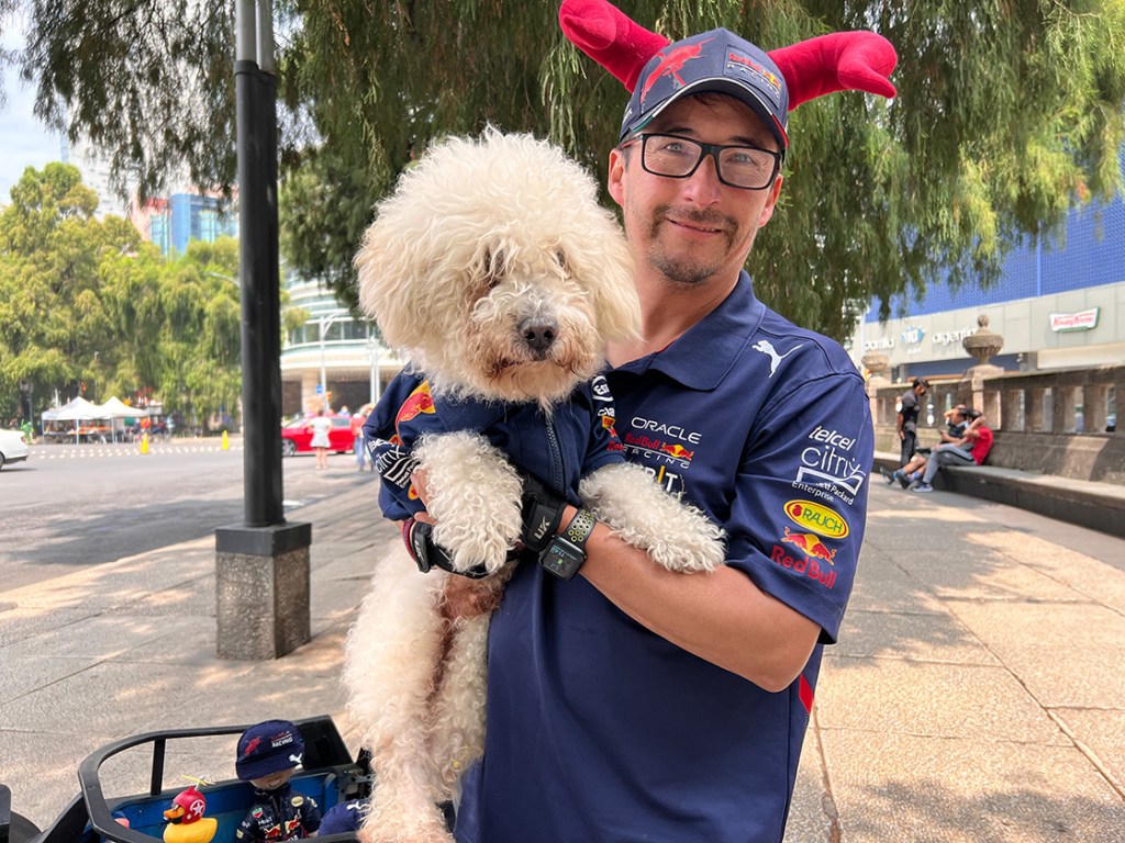 La historia de Fabbio, el perrito que pasea en un monoplaza como el de Checo Pérez en Red Bull