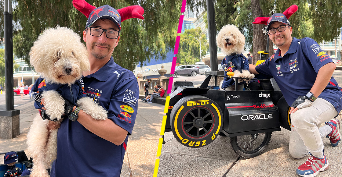 La historia de Fabbio, el perrito que pasea en un monoplaza como el de Checo Pérez en Red Bull