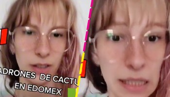 "Me robaron mi cactus": Mujer francesa se topa con la delincuencia del Estado de México