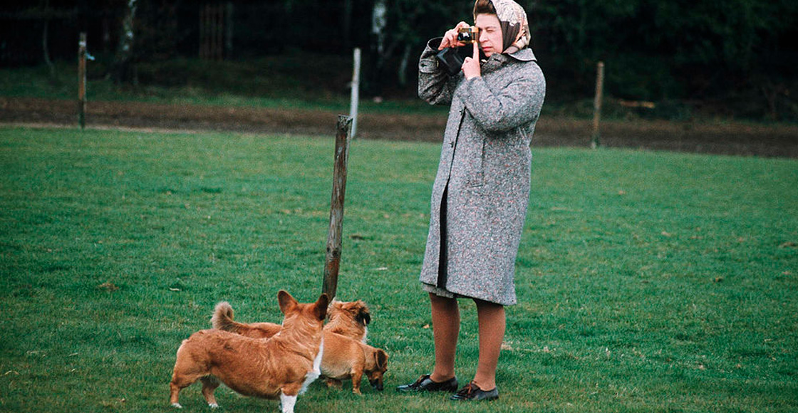 reina-isabel-II-corgis