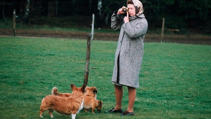 reina-isabel-II-corgis