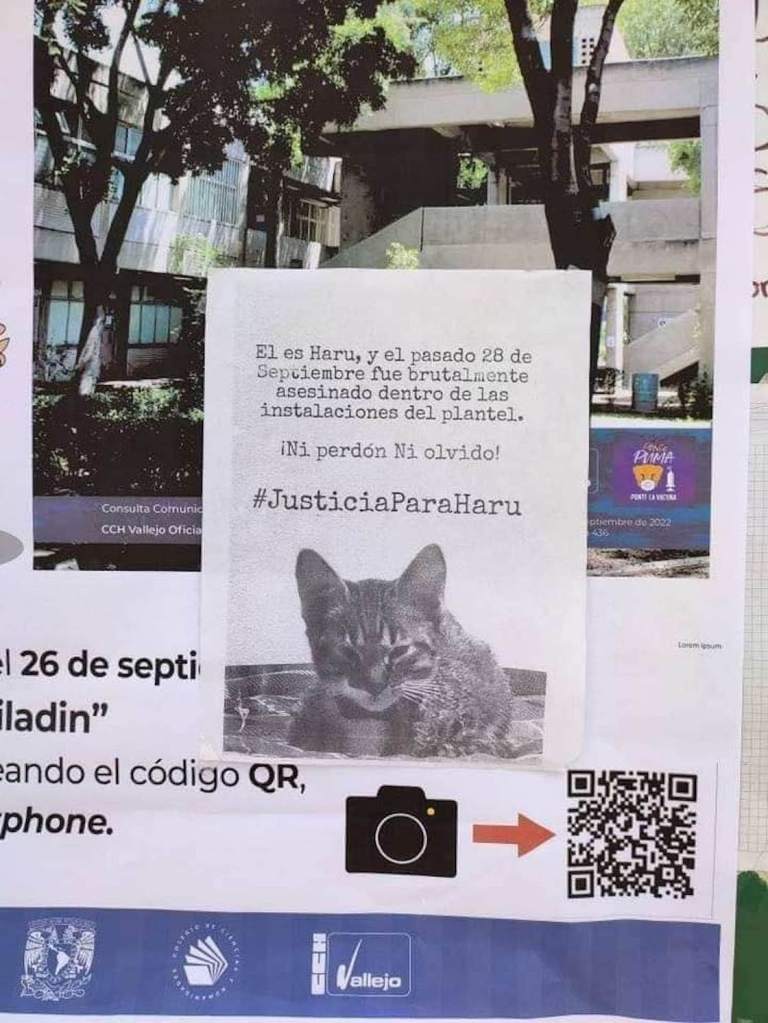 justicia-para-haru-gatito-cch-vallejo-unam