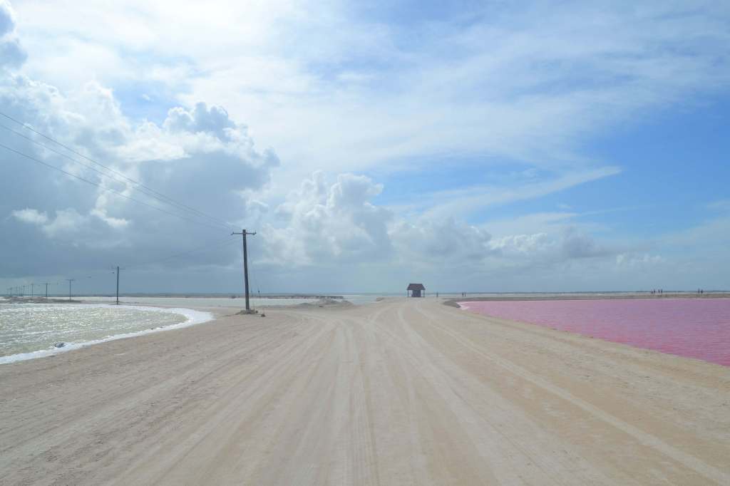 Visita a las coloradas