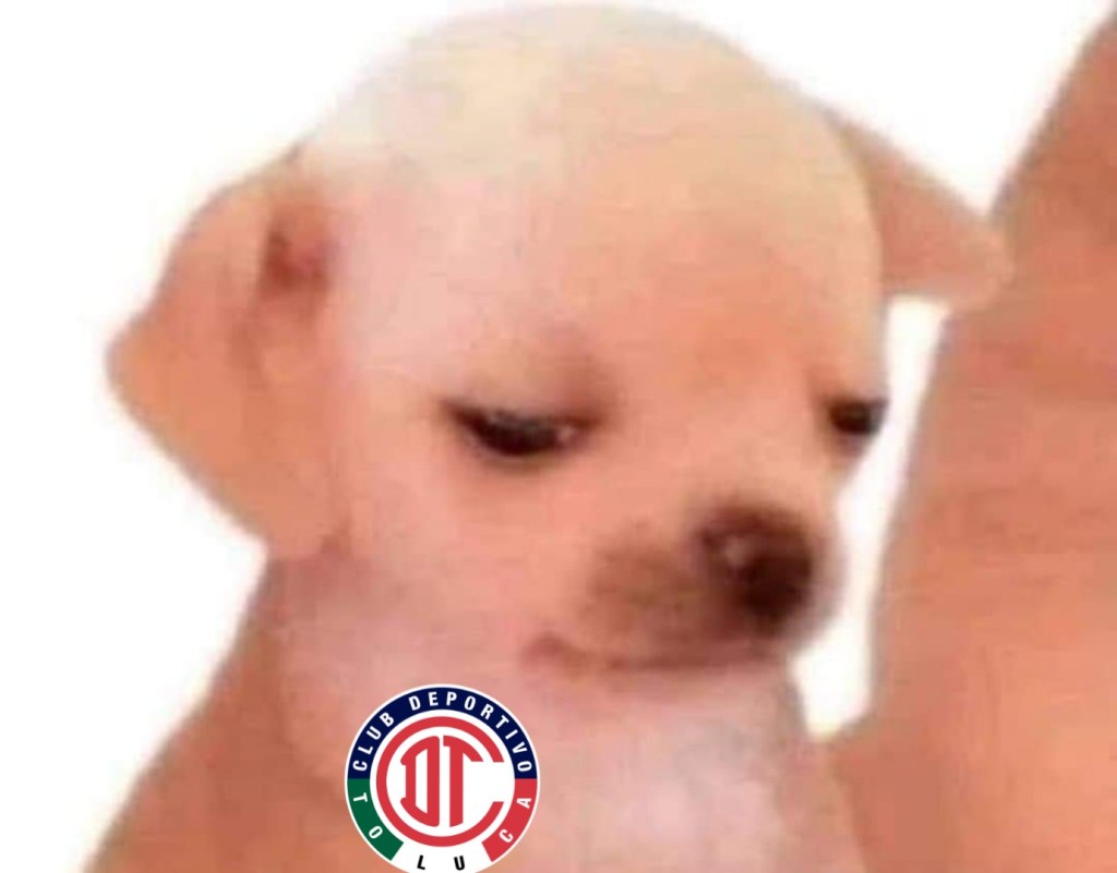 Meme Pachuca vs Toluca