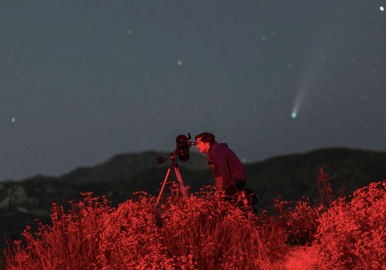 La noche de las estrellas 