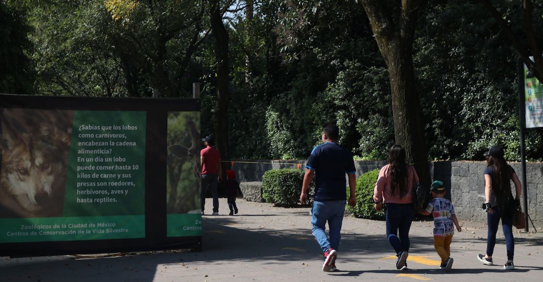 nuevo-logo-100-zoologico-chapultepec