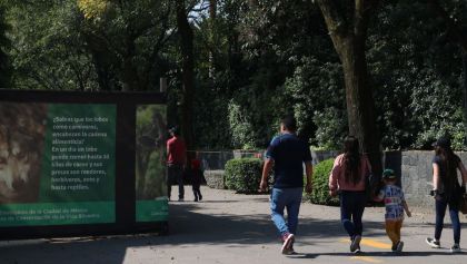 nuevo-logo-100-zoologico-chapultepec