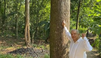 AMLO cumpleaños 1