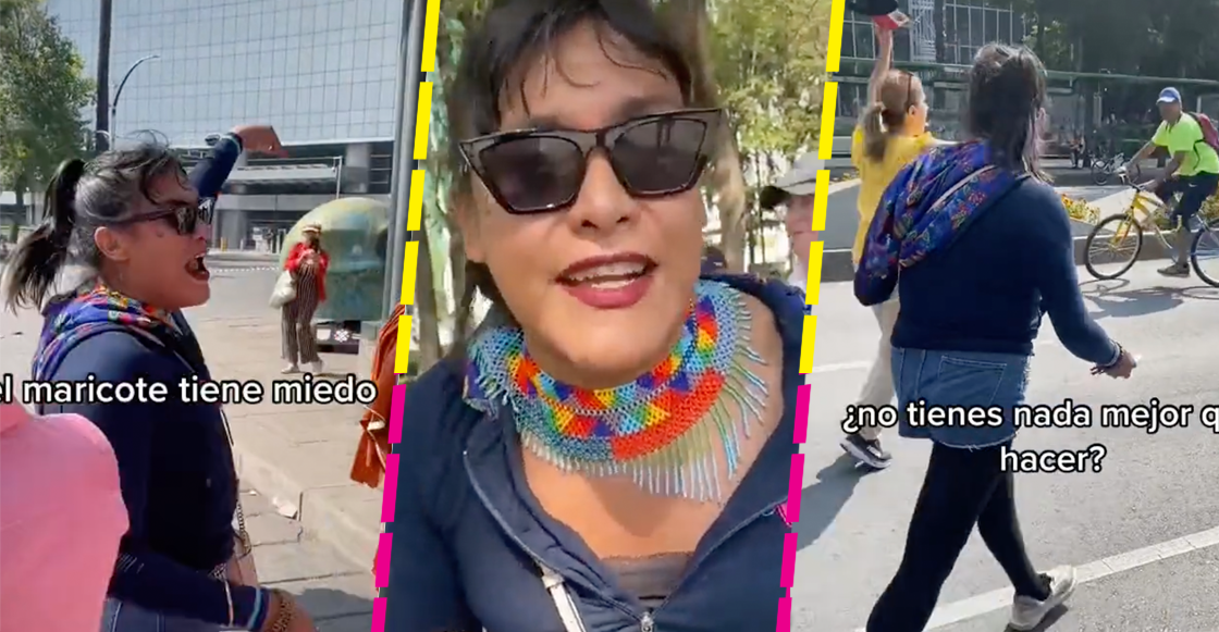 diputada-maria-clemente-marcha-ine-videos-maricote-miedo-insulta-corretea-gente-reforma