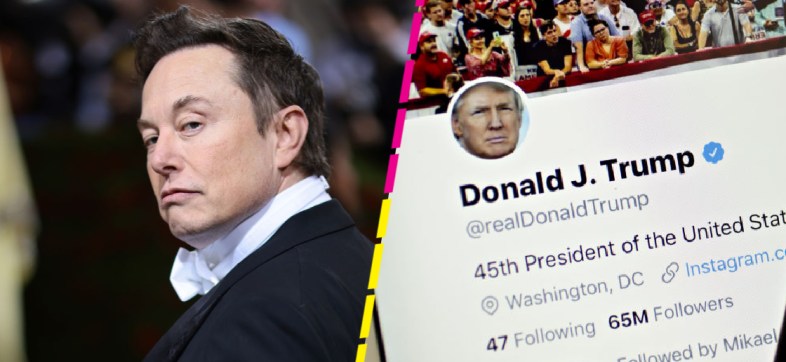 Hasta AMLO votó: Elon Musk anuncia el regreso de Trump a Twitter tras encuesta