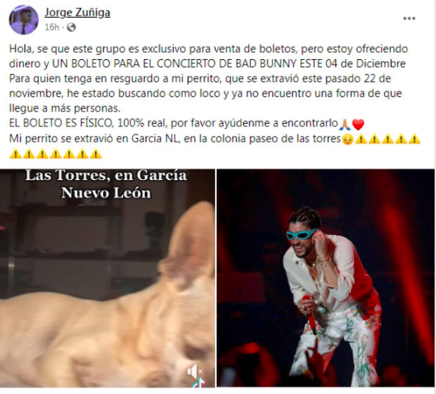 Joven de Monterrey ofrece boleto de Bad Bunny a quien le regrese a su perrito perdido