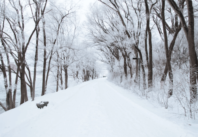 Oymayakon, el pueblo más frñio del mundo 