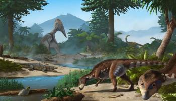 transilvania-nueva-especie-dinosaurio