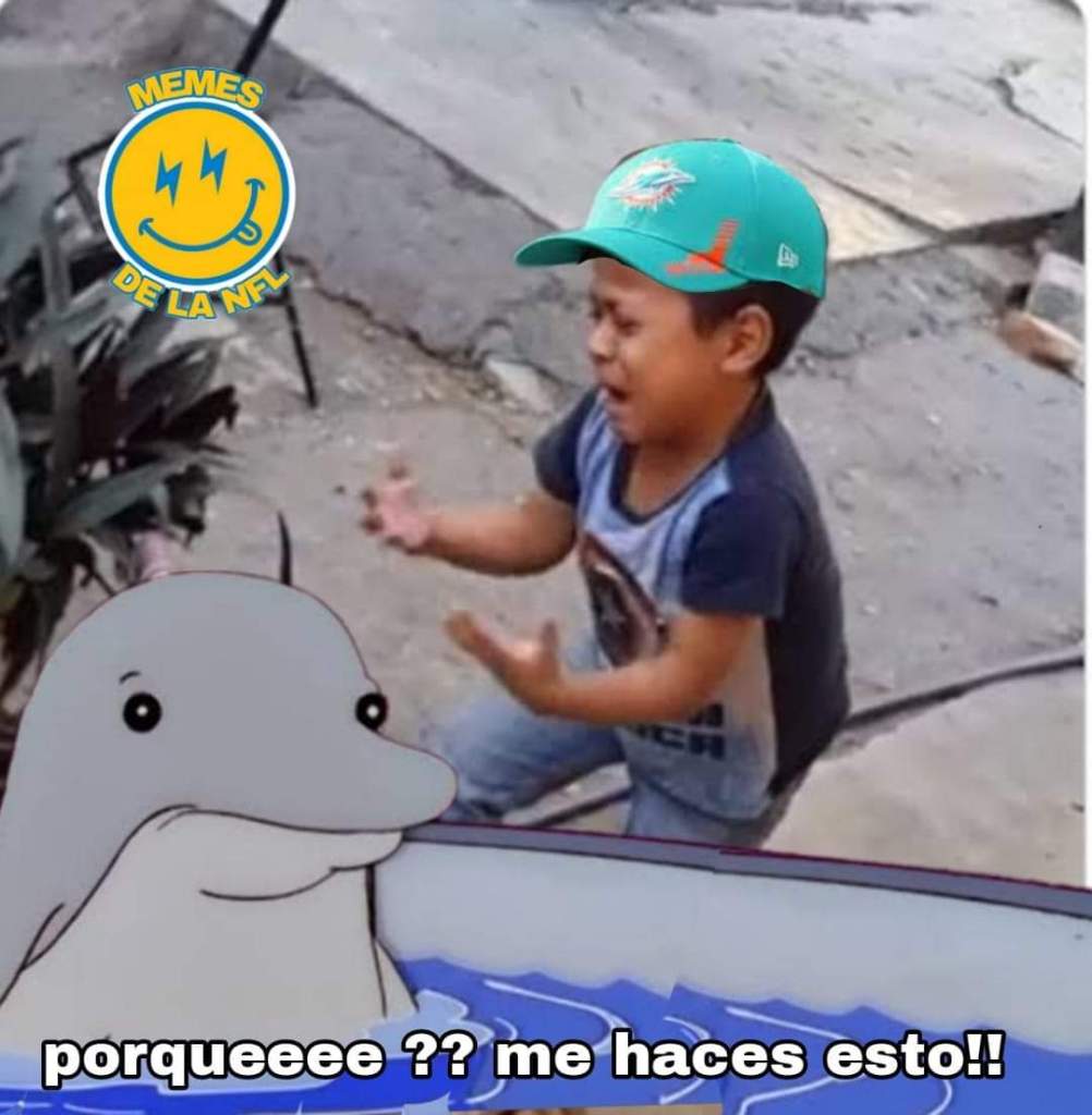 memes nfl semana 17