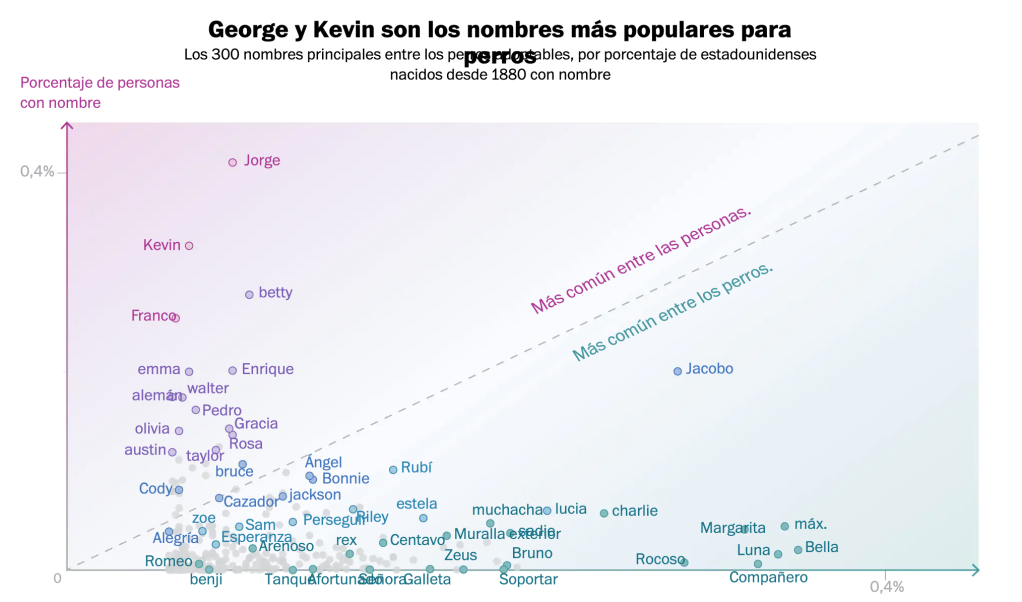 perros-nombres-personas-estados-unidos