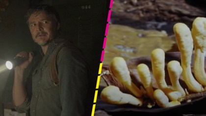 'The Last of Us': ¿Qué es el Cordyceps y cómo ataca en la vida real?