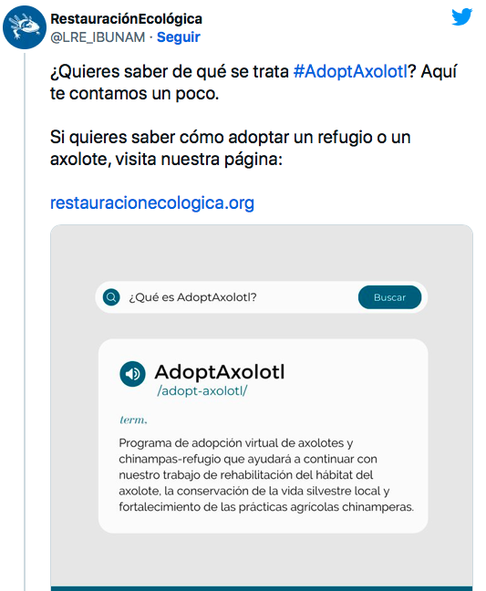 Adopta un ajolote 