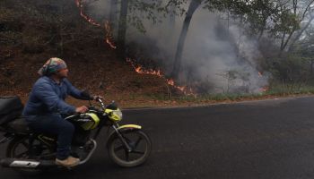 fogatas-nuevo-leon-incendios-forestales