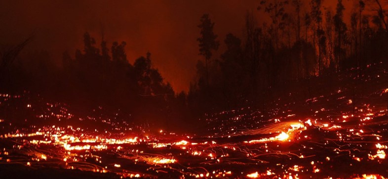 incendios-chile-forestales