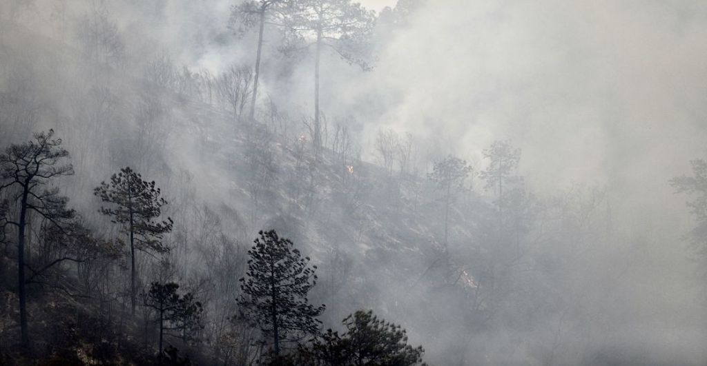 nuevo-leon-incendios-forestales-zonas-veda