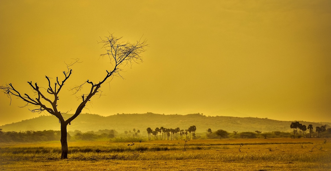 calentamiento global cambio climático