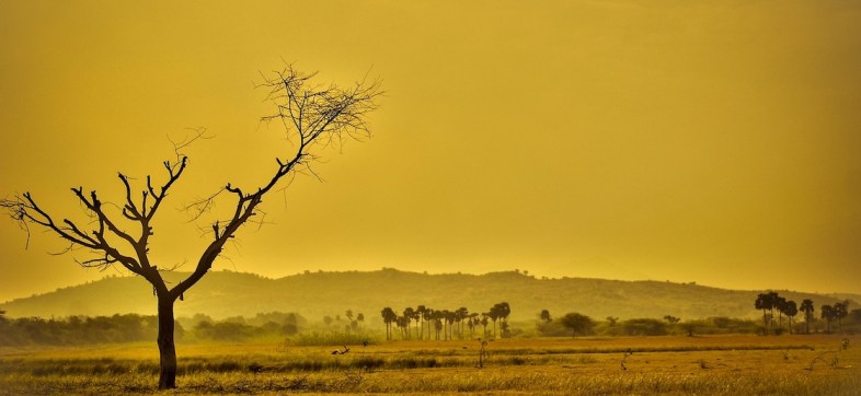 calentamiento global cambio climático