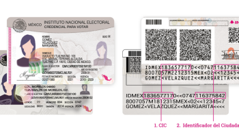 credencial-del-ine-impresa-en-papel-propuesta-bertha-lujan-alcalde-2