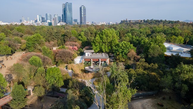 Así será el Festival del Bosque de Chapultepec 