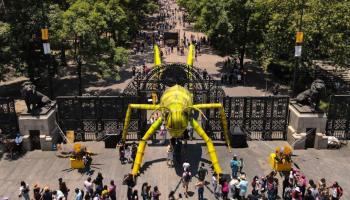 Ya viene el Festival del Bosque de Chapultepec 2023