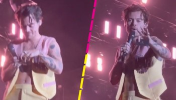 Harry Styles revelación género bebé fan