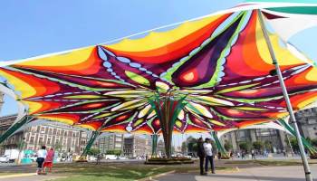 Así es el Jardín de Primavera del Zócalo