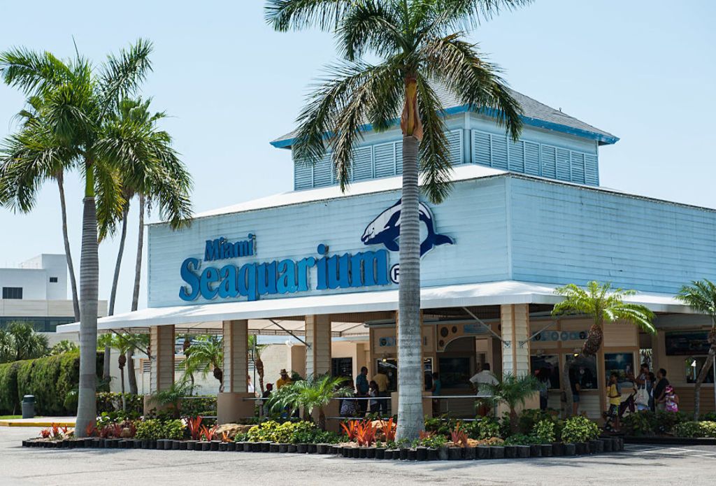 Miami Seaquarium