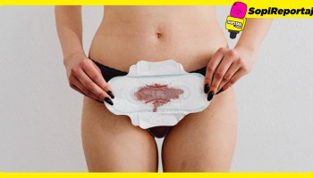 Permiso de menstruación en México