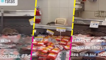 Video: Captan a dos ratas gigantes en un supermercado de Lima